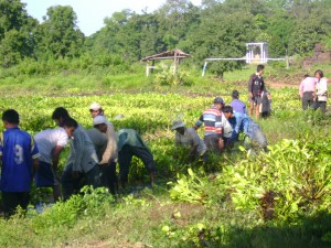Moat cleaning