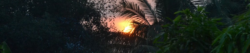 Sunrise